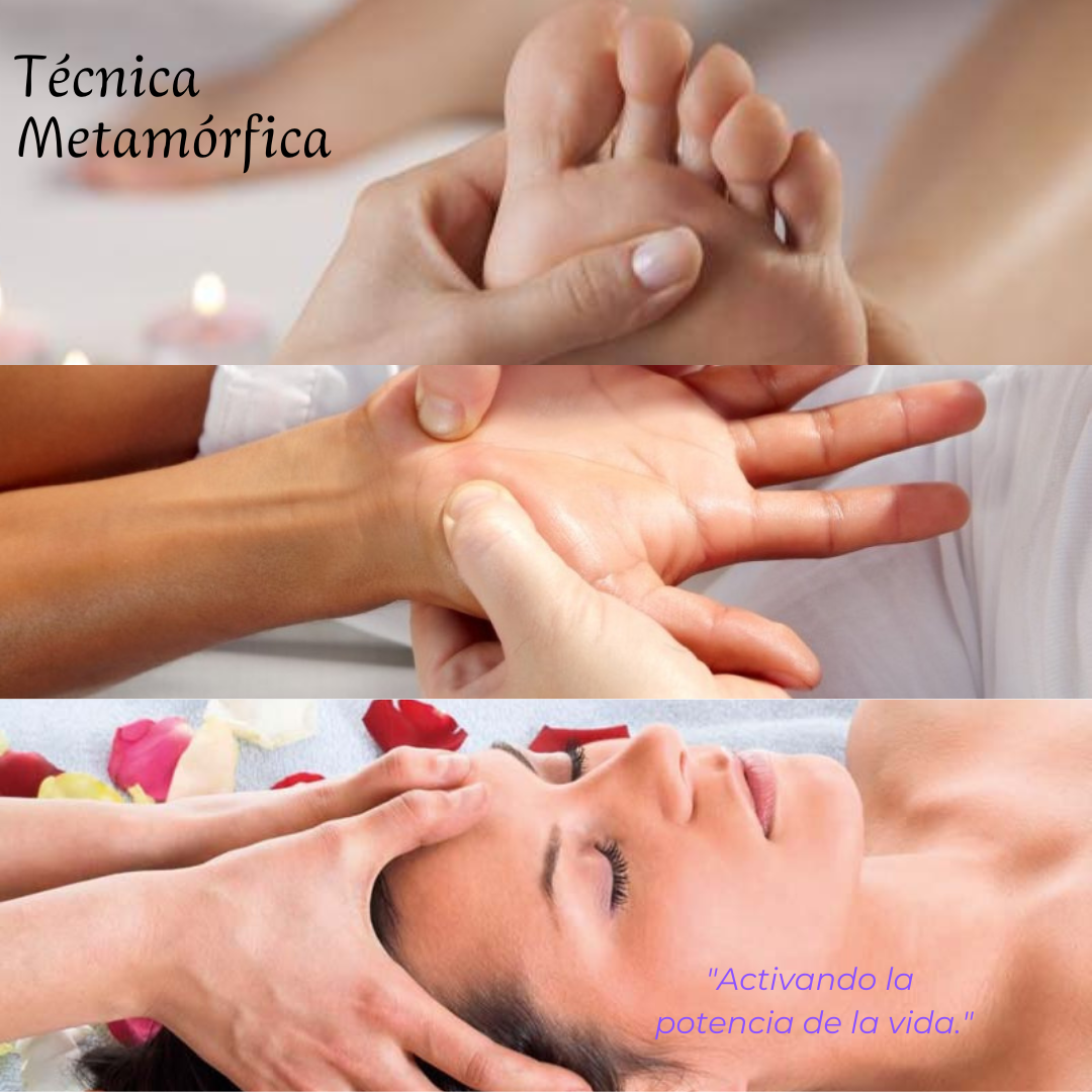 técnica metamórfica